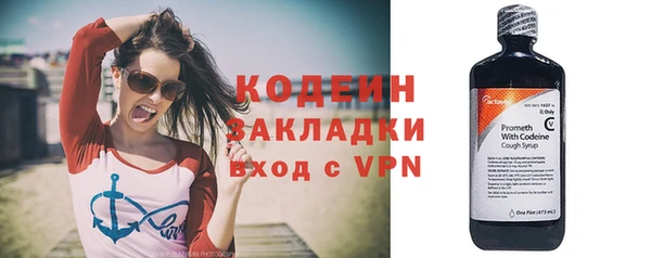 прущий лед Каменка