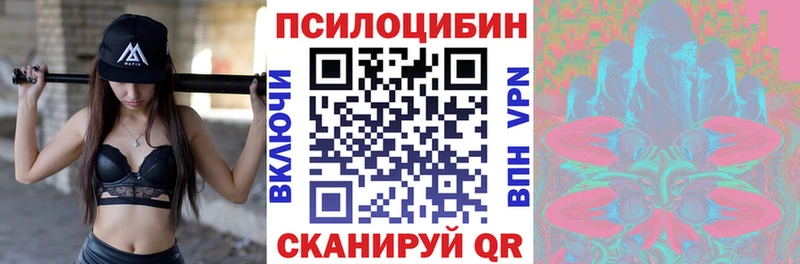 где купить   Краснозаводск  MEGA ссылки  Псилоцибиновые грибы Psilocybe 