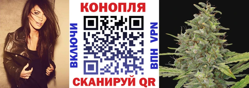 Бошки Шишки конопля  Краснозаводск 